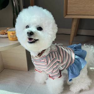 강아지옷 스트라이프 리본 긴소매 봄 가을 강아지 원피스 연청 S