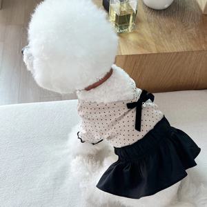 강아지원피스 프렌치 도트 리본 투피스 드레스 봄 가을 강아지옷
