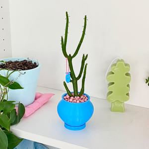 블루 연필 선인장 (made) 청산호 미니화분 다육이 인테리어 컬러 오브제 화분