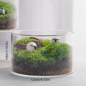 TEMU 고보로실리케이트 유리 화병, 스타일 라운드 거실용 DIY 수경식 식물, 랜드스케이프 및 예술적인 꽃 장식을 위한 화병, 손세척 전용, BPS 없음, 6월, 어머니날, 졸업식, 아버지날 및 독립기념일 장식에 완벽