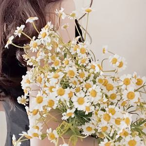 TEMU 370 꽃 37 꽃다발 인공 벚꽃과 국화 - 현실적인 흰색과 노란색 플라스틱 웨딩 장식, 가정, 사무실, 정원 - 손수건 꽃다발, 벽 및 울타리 장식, 사진 촬영 용품 국화 시뮬레이션 웨딩 손수건 장식 흰색 꽃 가정 사무실 정원 장식 가정 장식 웨딩 장식 꽃 배치 정원 매달린 꽃 벽 매달린 꽃 울타리 매달린 꽃 사진가 벚꽃 작은
