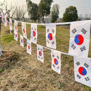 TEMU 20개/세트 14x21cm, 한국 국기, 축제 파티 및 휴일 홈 데코용 한국 스트링 플래그|태극기