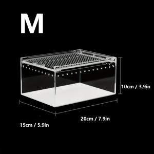 TEMU 아크릴 파충류 서식지 - 사막 풍경 디자인을 갖춘 직사각형 테라리움, 도마뱀, 뱀, 해조류 및 양서류를 위한 - 고품질 투명 관찰 패널, 내구성 있는 아크릴 소재, 파충류 수용기 액세서리, 자연 서식지 디자인, 관찰 패널