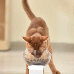 TEMU 1pc 고양이용 스탠드가 있는 올린 고양이 그릇, 경추 보호를 위한 고양이 경사식 먹이 그릇 물 그릇, 실내 고양이용 안토박이 방지 노 스피루 펫 그릇