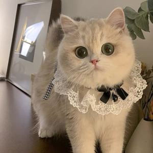 TEMU 1pc 귀여운 딸기 벨 고양이 베비, 리본이 달린 귀여운 애완동물 침용수, 폴리에스터 하트 패턴 목장식, 고양이와 개용, 부드럽고 내구성이 뛰어남