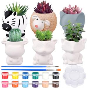 TEMU DIY 세트 6개 미니 무도 화분 데이 선물 실내외 장식용|화분