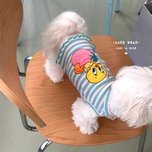 TEMU 봄과 가을에 비치온, 테디, 말티즈 등 소형견을 위한 귀여운 통기성 조끼 - 탈모 방지|강아지옷