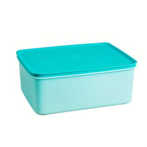 TEMU 파란색과 흰색 5.9L*1 냉장고 냉동고 고기 보관 상자 신선도 보존 상자 전문 주방 만두 계란 보관 상자 냉동 고기 준비 상자