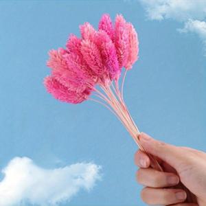 TEMU 33개 초이스 인공 파마스 토끼 꼬리 보석 잔디 꽃束 - 집, 정원, 결혼식, 농가 스타일을 위한 생동감 있는 다색 인조 꽃 장식, 봄과 가을 축제를 위한 완벽한 토끼 액세서리, 결혼식 장식, 축제용 식탁 중앙 장식, 활기찬 꽃잎 디자인