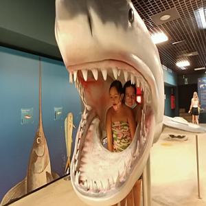 토스카나 리보르노 아쿠아리움 티켓