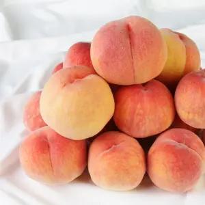 무주 반딧불 명품 복숭아 황도 2kg 5-6과 딱복
