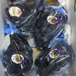때깔찬 국내산 고당도 거봉 포도 실중량 2kg (6~8수)