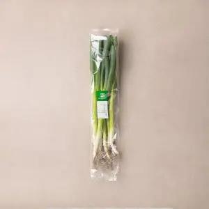 흙대파 750g