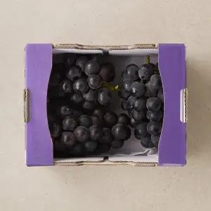 거봉 1.5kg 박스