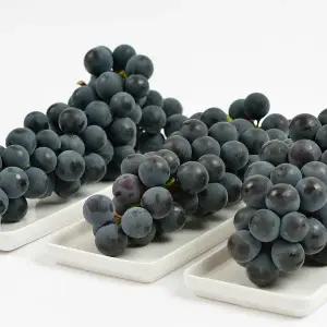 국내산 김천 캠벨포도 상품 2kg 6-10수 내외