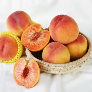 무주 단비 반딧불 명품 복숭아 황도 2kg 5-6과