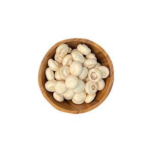 [푸드조아] 충청남도 부여 국내산 양송이버섯 500g 꼬마사이즈