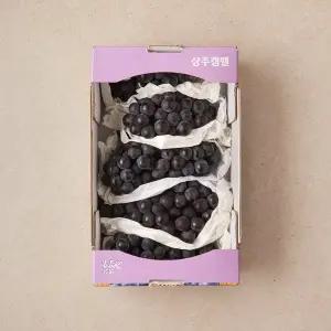 상주 캠벨포도 1.5kg 박스