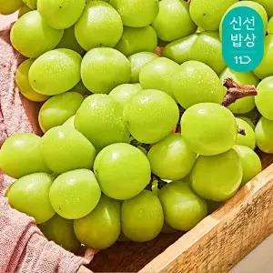 [품질보장] 2025년 수확 하우스 샤인머스켓 1kg 2수 / 에어셀 포장