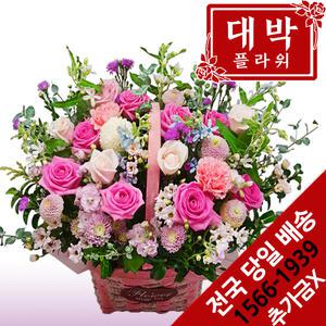 포근하게 꽃바구니 생일선물 기념일 출산꽃바구니 병문안 여자친구 부모님 꽃배달서비스