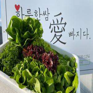 하루한쌈 다이어트 유러피안 명품채소 1kg