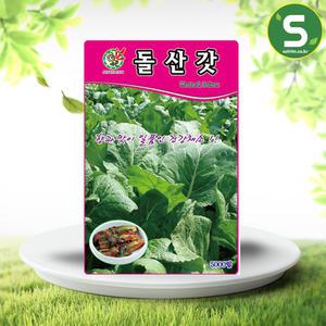돌산갓씨앗 5000립 갓씨앗 돌산갓종자 갓종자 쌈채소