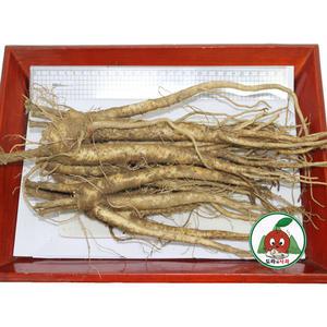 청정 영주소백산도라지 흙_약도라지2kg_특상품