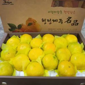 제주 프리미엄 고당도 황금향 3kg 5kg 선물용 가정용