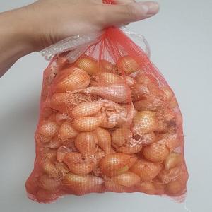 예천 쪽파씨앗 쪽파 종자 종구 씨 모종 500g