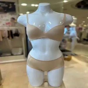 [대구백화점] [비너스]노와이어 무봉제 브라팬티세트(VBR0981A VPT0981-SK)