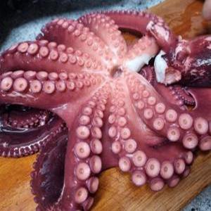 국내산 남해 완도 활 돌문어 500g 1kg 2kg 완도 생물 자숙 제수용 문어 문어숙회