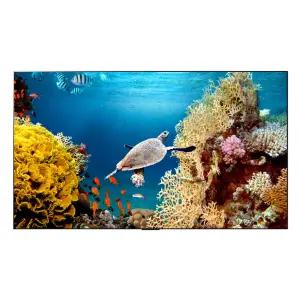 LG 올레드 evo 4K UHD TV OLED55C3SNA 138cm 스탠드형 바름(무료배송)