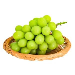 망고야 포도야 경북 샤인 머스켓 2kg 3~6수내외