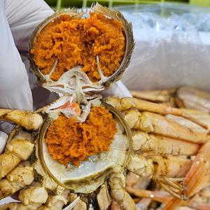 북해도 빵게 암컷 대게 1kg