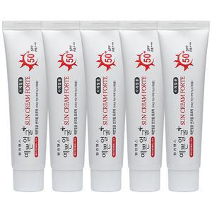 웰빙헬스 예쁜얼굴 선크림 포르테 자외선 차단 미백 기능성 SPF50+PA+++ 25g X 5개