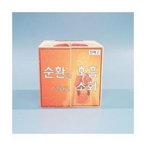 (인체)순환과호흡그리고소화스토리매직큐브만들기5인용