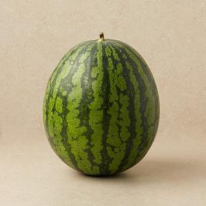 당도선별 완숙 수박 8~9kg미만