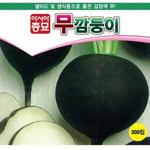 무씨앗 까만무 300립 무 종자