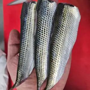 횟감용 전어 필렛 500g (4~9미)(손질 후 250g)