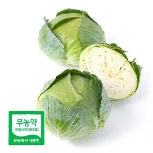 친환경 양배추 5kg (3~5개) 국내산 아삭아삭 매일이 가벼워지는 한 끼 무농약