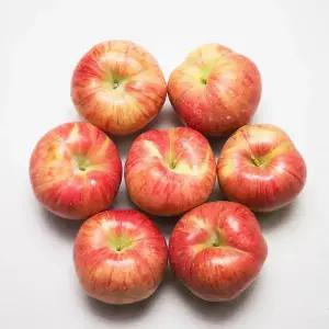 경북 햇사과 홍로사과 2kg 9-11과+2세트시4.5kg발송/미색/상처과/
