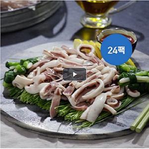 Dream어부 촉촉한 손질 오징어채 24팩