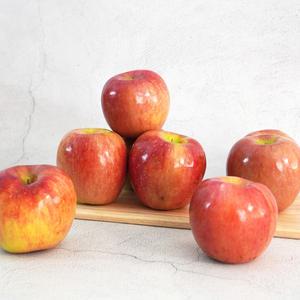2025년 햇 사과! 경북 아리수 사과(가정용) 2kg~3kg / 부사 / 홍로 / 아오리