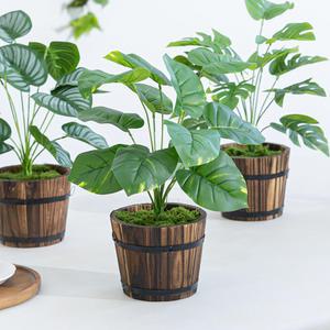 몬스테라 스킨답서스 조화 화분 플랜테리어 나무 set 40cm 3타입 인테리어 식물 테이블 장식 소품 꾸미기