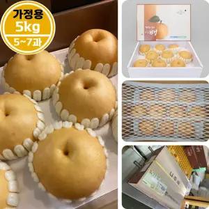 GAP 프리미엄 고당도 나주배 햇배 상품 (가정용) 5kg (5_7과)/신고 배 과일 세트