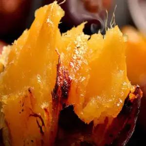 국내산 해남 비세척 꿀고구마 중 2kg 간식