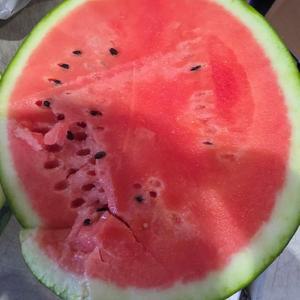 국내산 못난이 수박 3kg