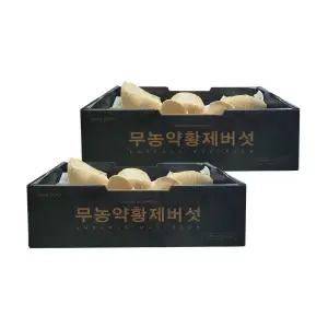 무농약 황제버섯 900g x 2ct 코스트코