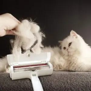 애완동물 털제거 반영구 돌돌이 강아지털빠짐 브러쉬 반영구돌돌이청소기