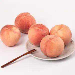 [엠픽] 특대사이즈만 선별한 천하제일도 아삭 복숭아 1.5kg(5과내)